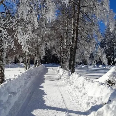 Holiday home Pres Des Pistes, 2 - Fr-1-496-268